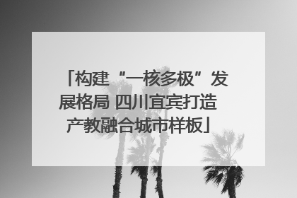 构建“一核多极”发展格局 四川宜宾打造产教融合城市样板