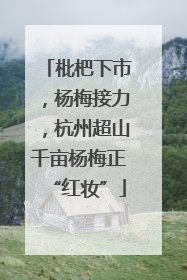 枇杷下市，杨梅接力，杭州超山千亩杨梅正“红妆”