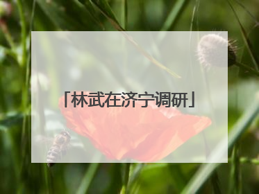 林武在济宁调研