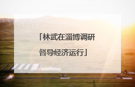 林武在淄博调研督导经济运行