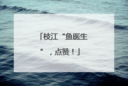 枝江“鱼医生”，点赞！