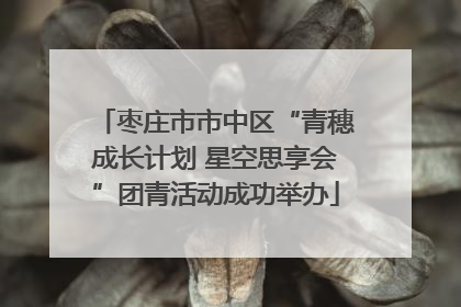 枣庄市市中区“青穗成长计划 星空思享会”团青活动成功举办