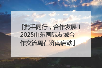 携手同行，合作发展！2025山东国际友城合作交流周在济南启动