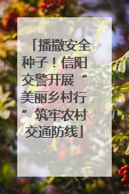 播撒安全种子！信阳交警开展“美丽乡村行”筑牢农村交通防线