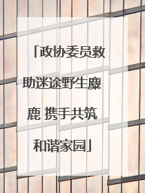 政协委员救助迷途野生麋鹿 携手共筑和谐家园