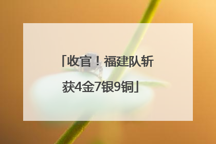 收官！福建队斩获4金7银9铜