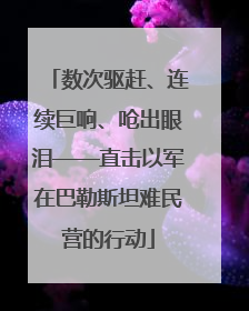 数次驱赶、连续巨响、呛出眼泪——直击以军在巴勒斯坦难民营的行动