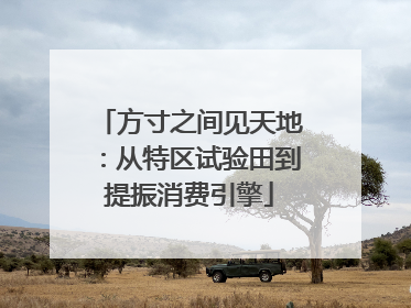 方寸之间见天地：从特区试验田到提振消费引擎