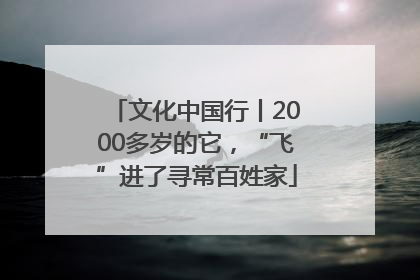 文化中国行丨2000多岁的它，“飞”进了寻常百姓家
