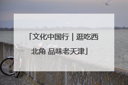 文化中国行｜逛吃西北角 品味老天津