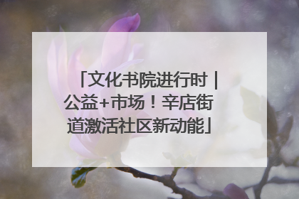 文化书院进行时｜公益+市场！辛店街道激活社区新动能