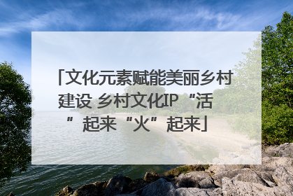 文化元素赋能美丽乡村建设 乡村文化IP“活”起来“火”起来