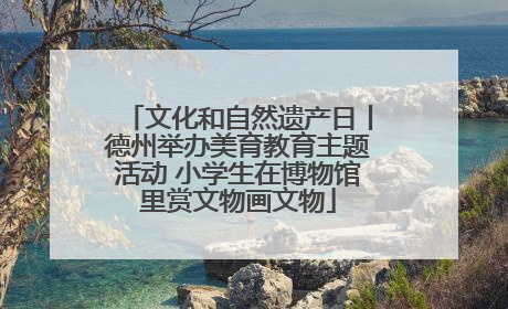 文化和自然遗产日丨德州举办美育教育主题活动 小学生在博物馆里赏文物画文物