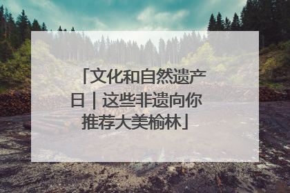 文化和自然遗产日｜这些非遗向你推荐大美榆林
