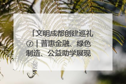 文明成都创建巡礼⑦｜普惠金融、绿色制造、公益助学展现城市文明底色