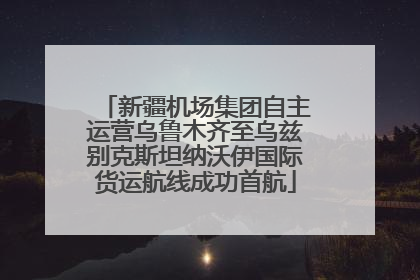 新疆机场集团自主运营乌鲁木齐至乌兹别克斯坦纳沃伊国际货运航线成功首航