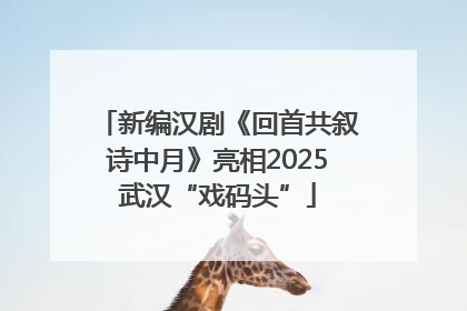新编汉剧《回首共叙诗中月》亮相2025武汉“戏码头”