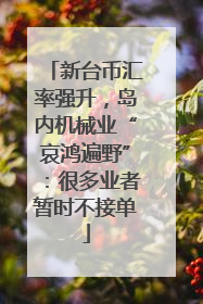 新台币汇率强升，岛内机械业“哀鸿遍野”：很多业者暂时不接单
