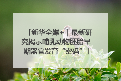 新华全媒+｜最新研究揭示哺乳动物胚胎早期器官发育“密码”