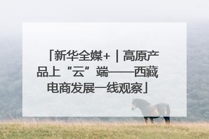 新华全媒+｜高原产品上“云”端——西藏电商发展一线观察
