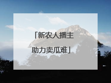 新农人播主 助力卖瓜难
