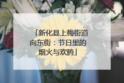 新化县上梅街道向东街：节日里的烟火与欢腾