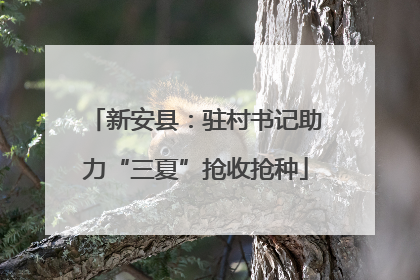 新安县：驻村书记助力“三夏”抢收抢种