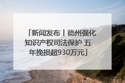 新闻发布丨德州强化知识产权司法保护 五年挽损超930万元