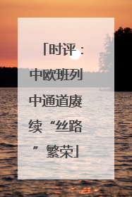 时评：中欧班列中通道赓续“丝路”繁荣