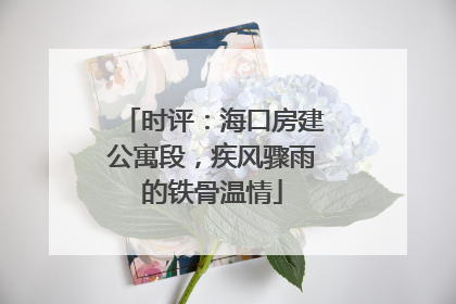 时评：海口房建公寓段，疾风骤雨的铁骨温情