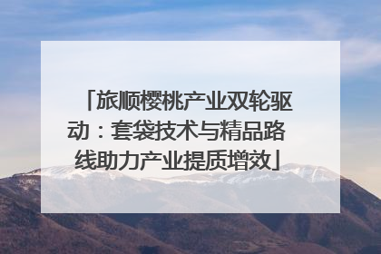 旅顺樱桃产业双轮驱动：套袋技术与精品路线助力产业提质增效