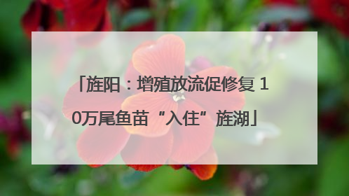 旌阳：增殖放流促修复 10万尾鱼苗“入住”旌湖