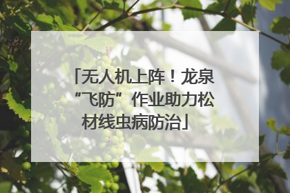 无人机上阵！龙泉“飞防”作业助力松材线虫病防治