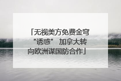 无视美方免费金穹“诱惑” 加拿大转向欧洲谋国防合作