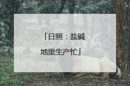 日照：盐碱地里生产忙