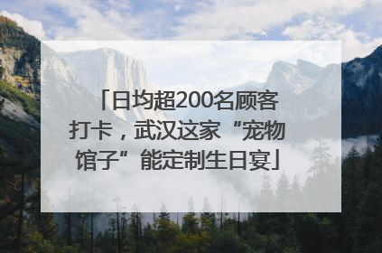 日均超200名顾客打卡，武汉这家“宠物馆子”能定制生日宴