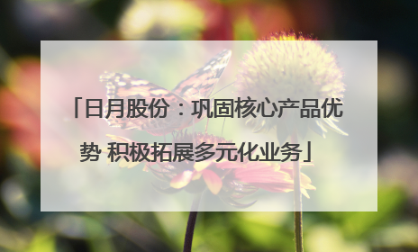 日月股份：巩固核心产品优势 积极拓展多元化业务