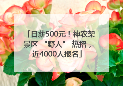 日薪500元！神农架景区 “野人” 热招，近4000人报名