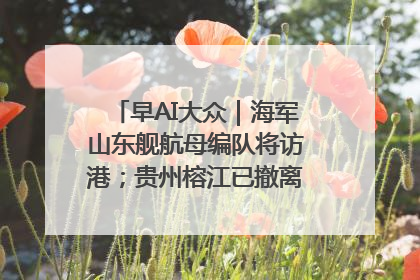 早AI大众｜海军山东舰航母编队将访港；贵州榕江已撤离转移群众超4万人