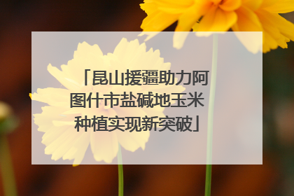 昆山援疆助力阿图什市盐碱地玉米种植实现新突破