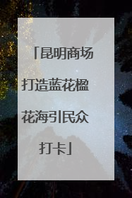 昆明商场打造蓝花楹花海引民众打卡