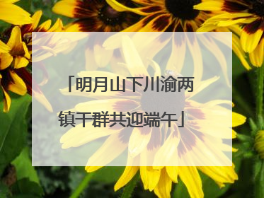 明月山下川渝两镇干群共迎端午