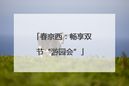 春京西：畅享双节“游园会”