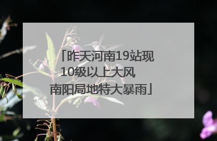 昨天河南19站现10级以上大风  南阳局地特大暴雨