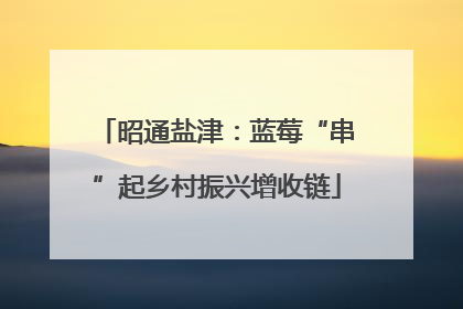 昭通盐津：蓝莓“串”起乡村振兴增收链