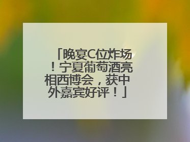 晚宴C位炸场！宁夏葡萄酒亮相西博会，获中外嘉宾好评！