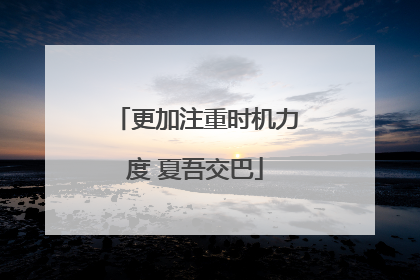 更加注重时机力度 夏吾交巴
