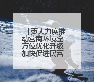 更大力度推动营商环境全方位优化升级加快促进民营经济持续健康高质量发展