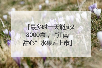 最多时一天能卖28000盒，“江南甜心”水果莲上市