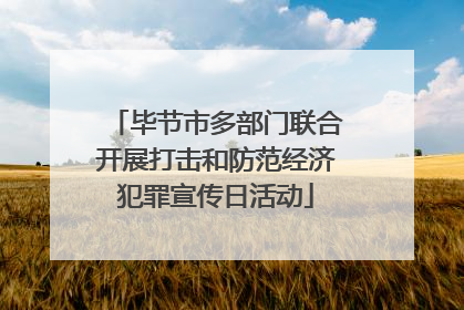 毕节市多部门联合开展打击和防范经济犯罪宣传日活动